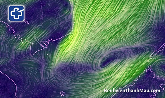 Vùng xoáy xuất hiện ngoài biển có khả năng mạnh lên thành áp thấp nhiệt đới. (Ảnh: earth.nullschool.net).