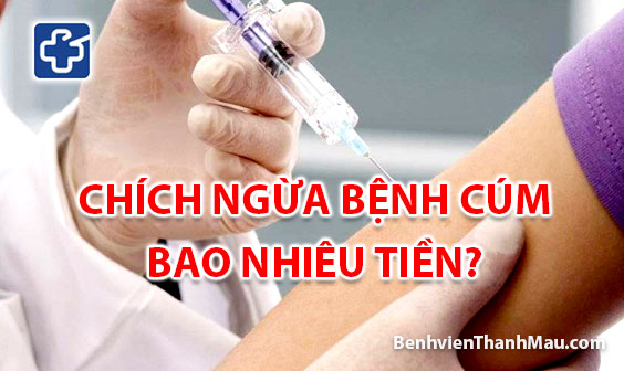 chich ngua cum bao nhieu tien