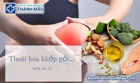 thoái hóa khớp gối ăn gì tốt - thoai hoa khop goi an gi tot