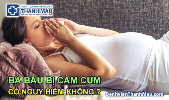 ba bau bi cam cum co nguy hiem khong