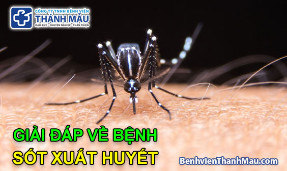 benh sot xuat huyet denuge giai dap thac mac