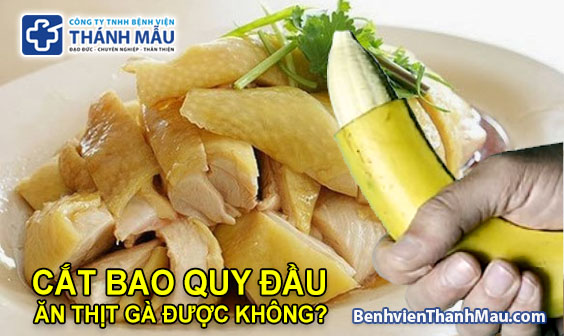 cắt bao quy đầu có cần kiêng thịt gà không