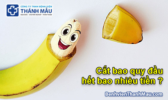 cắt bao quy đầu bao nhiêu tiền