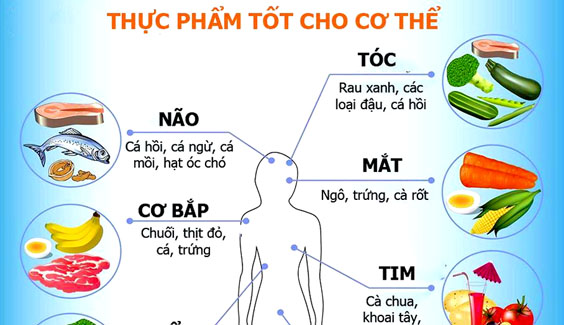 thuc pham tot cho tung bo phan co the