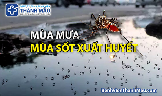 mua mua mua sot xuat huyet xet nghiem sot xuat huyet