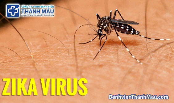 virus zika benh dau nho