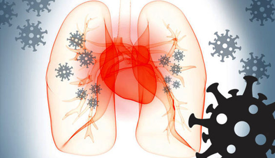 virus ncov benh covid19 tan cong tim ncov heart